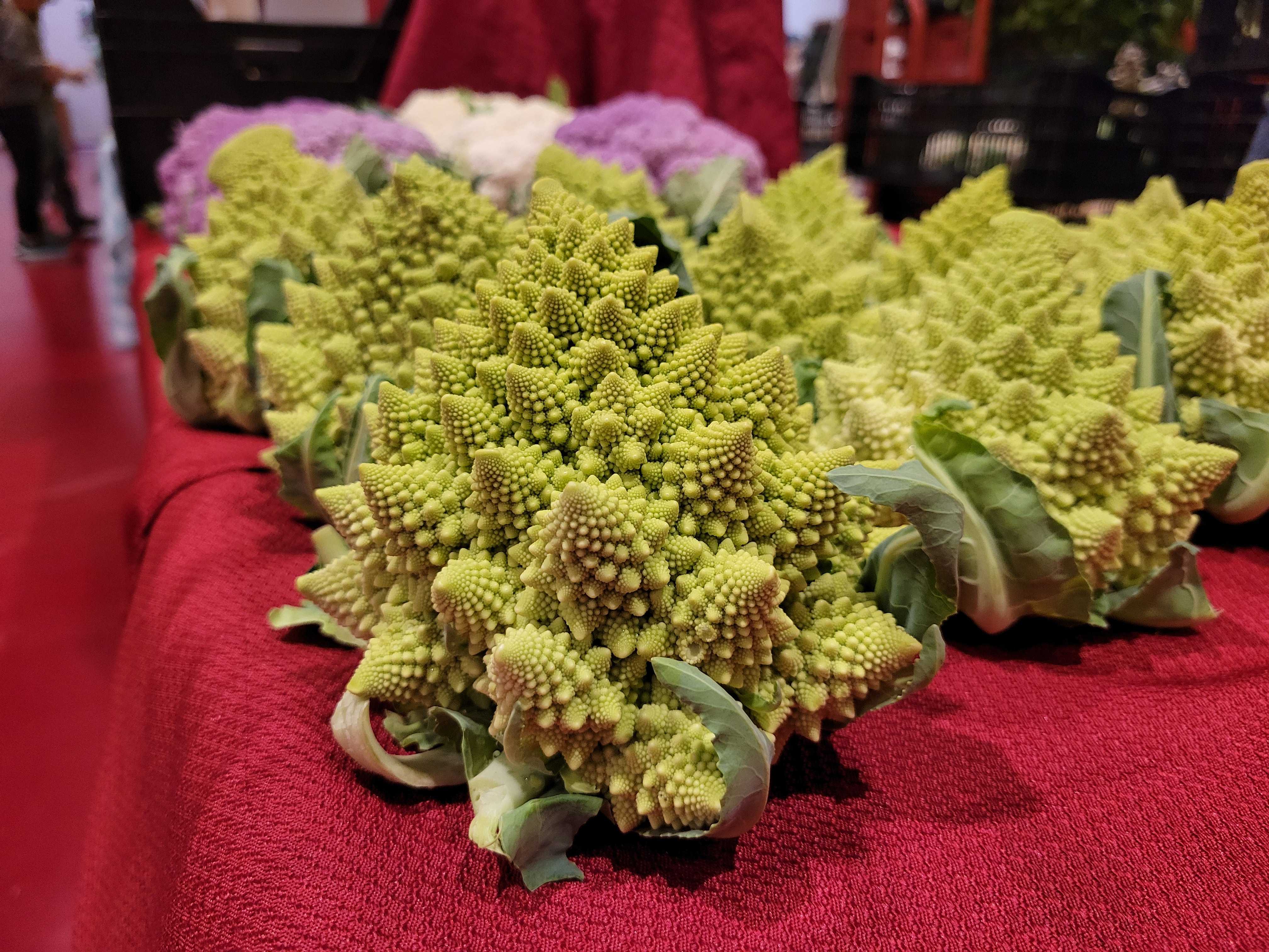 Dane County Farmers Market Holiday Market makes a return 