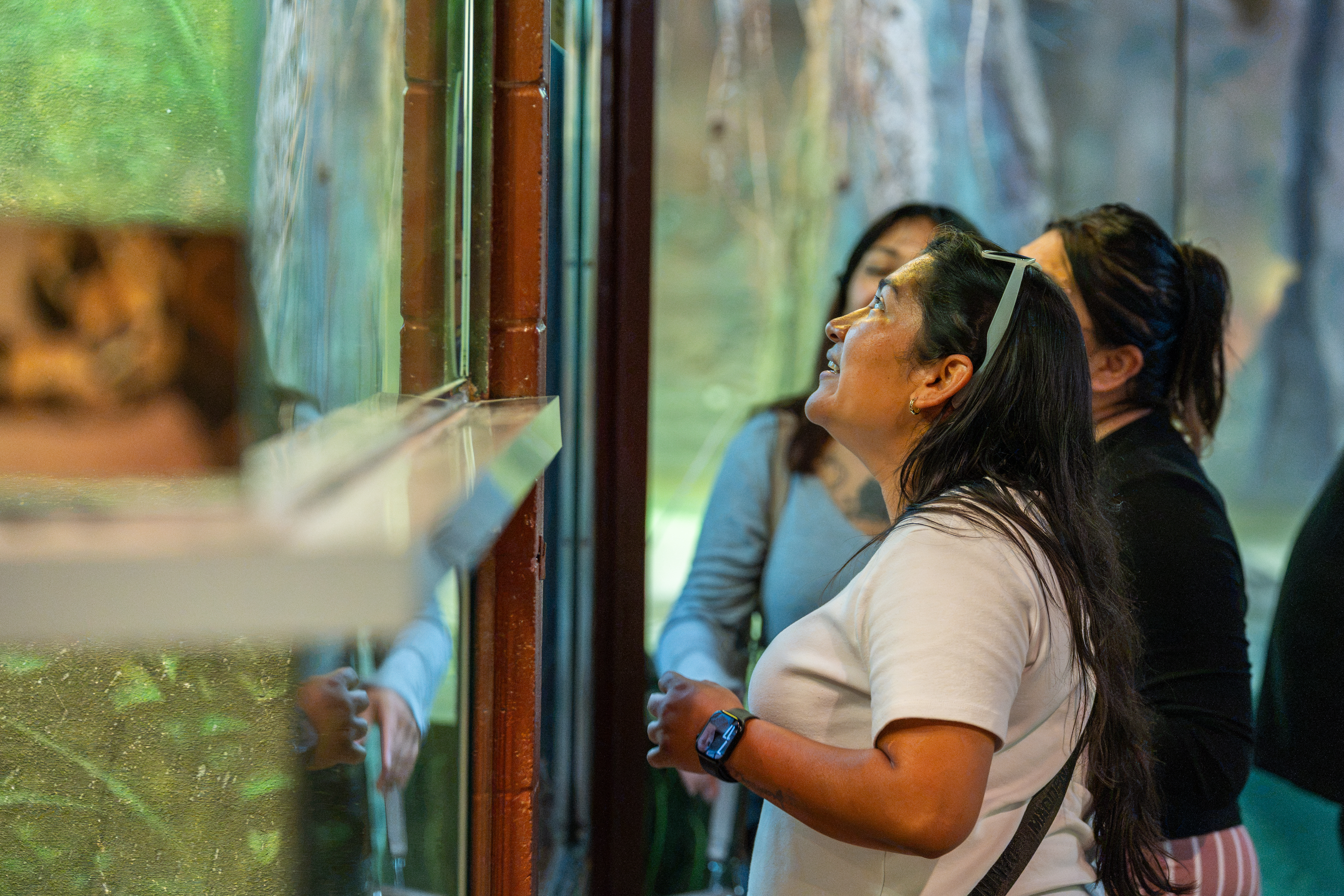 Employees viewing an animal exhibit during the ULI company picnic at Henry Vilas Zoo