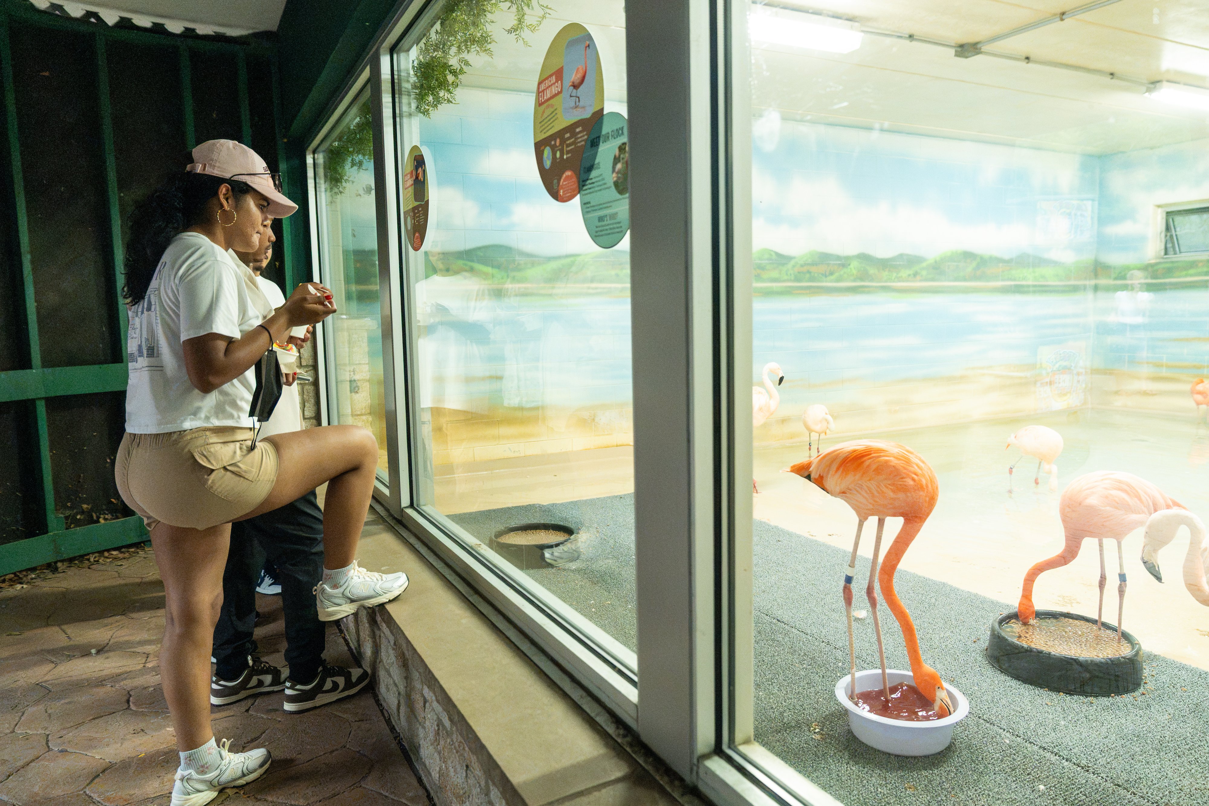 Visitors admire the flamingo exhibit while enjoying the Urban Land Interests company picnic at Henry Vilas Zoo