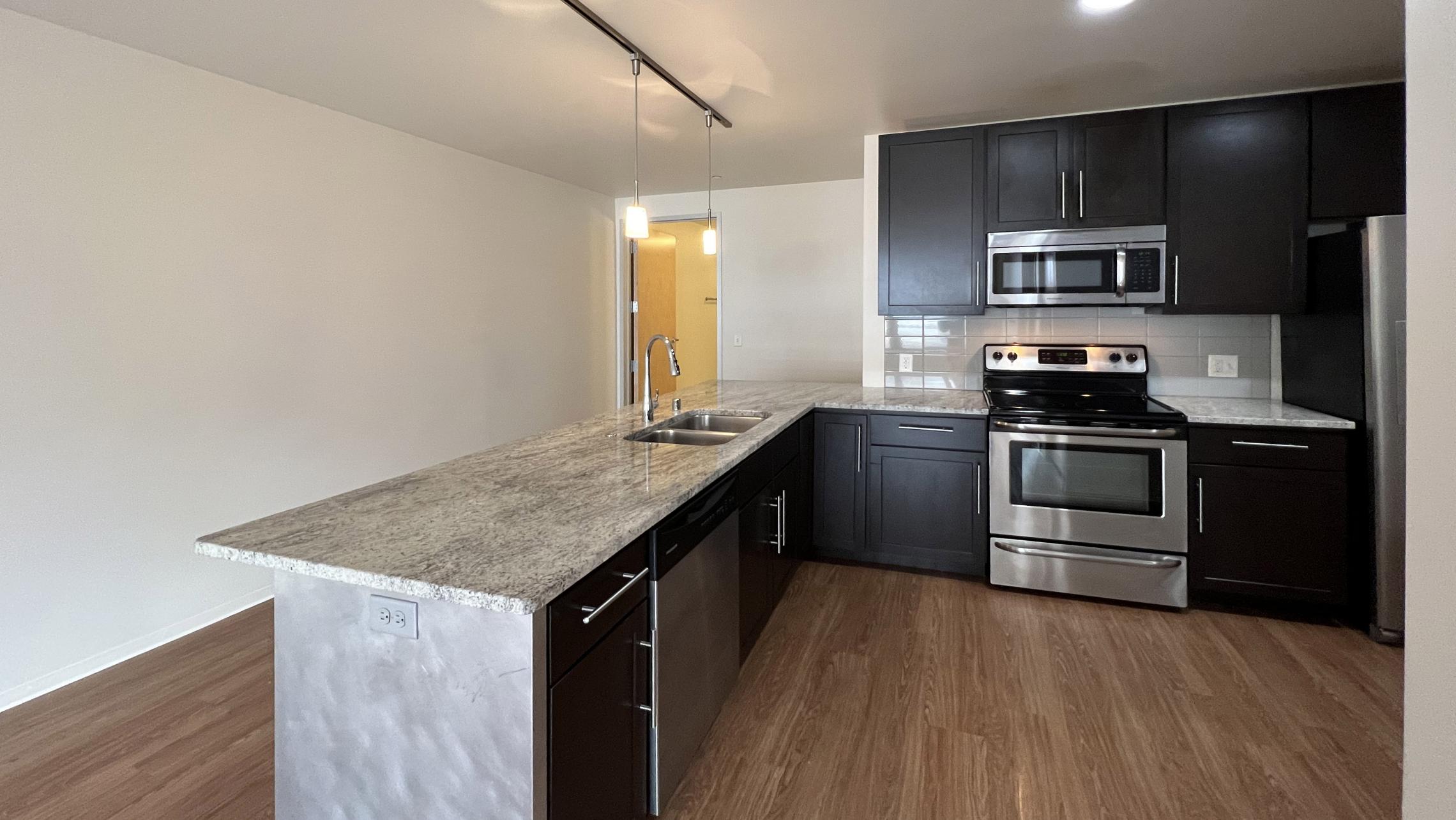 Capitol-Hill-Apartments-206-One-Bedroom-Downtown-Madison-Capitol-Square-Living-Dining-Bathroom-Views-City-Lifestyle-Cats-Modern-Luxury-Design-Laundry-Lake