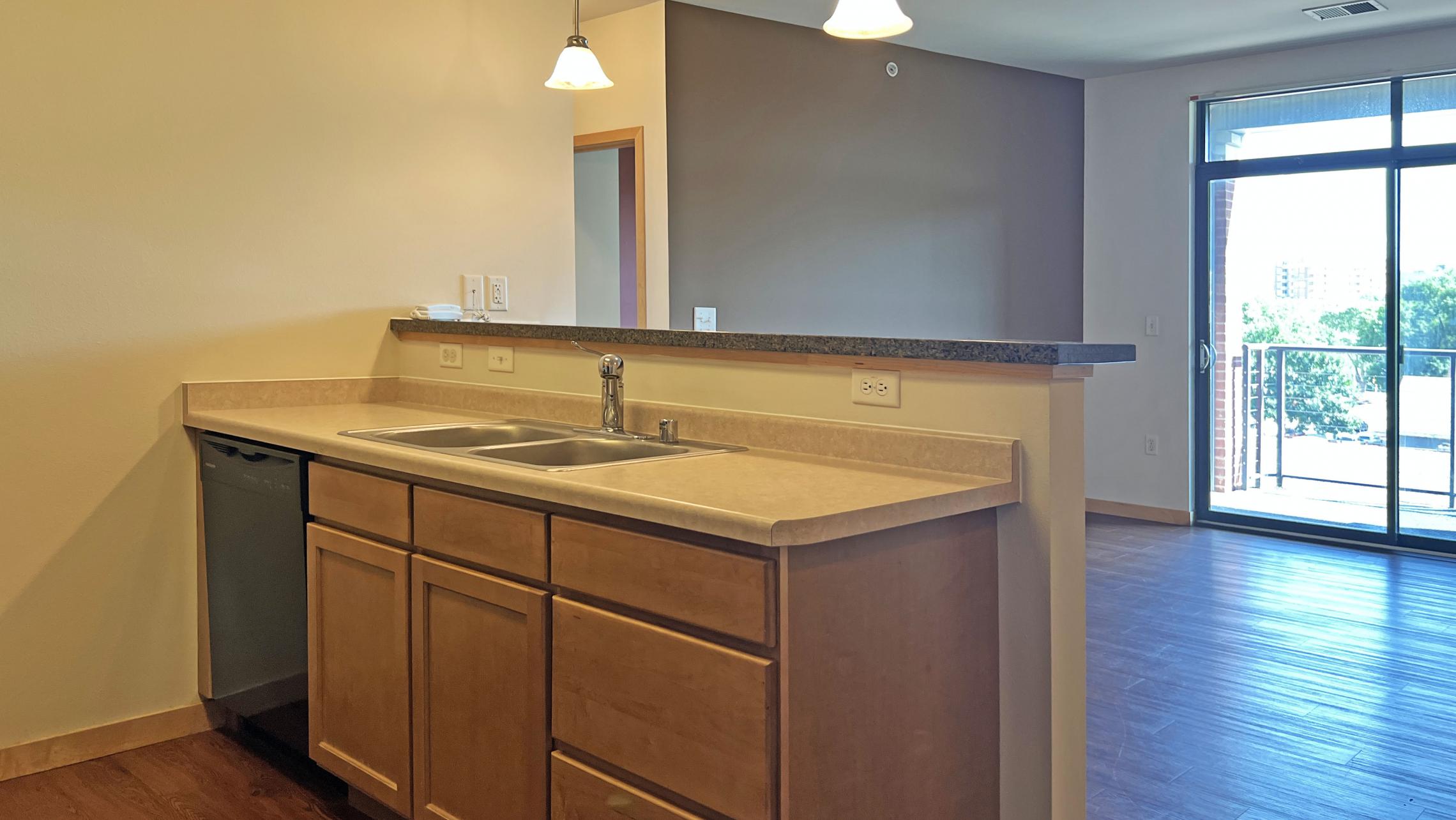 The-Depot-Apartment-1-411-One-Bedroom-Downtown-Madison-Capitol-View-Balcony-Lake-Cats-Fintess-Terrace-City-Living-Kithcen-Bathroom-Upscale