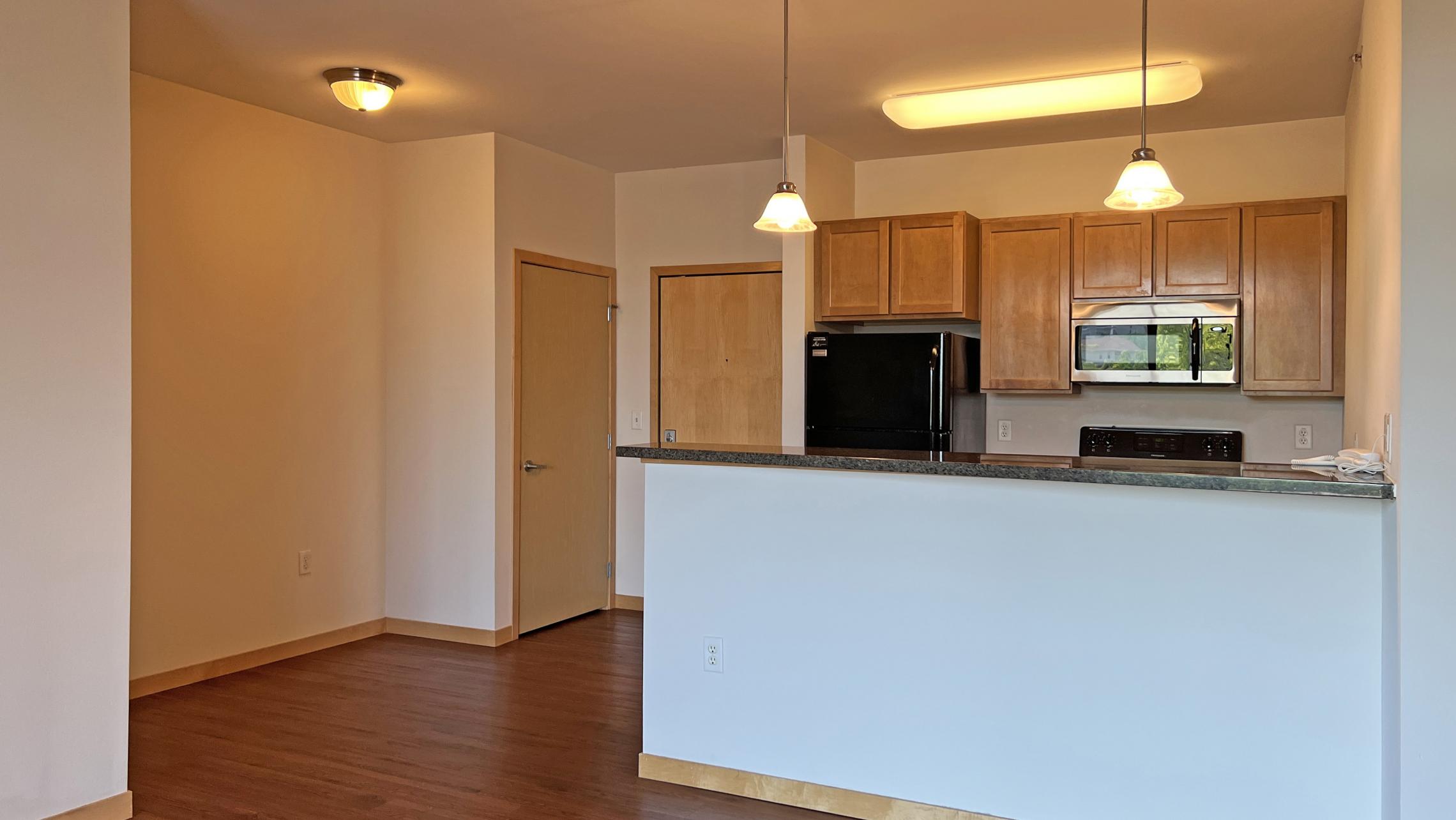 The-Depot-Apartment-1-411-One-Bedroom-Downtown-Madison-Capitol-View-Balcony-Lake-Cats-Fintess-Terrace-City-Living-Kithcen-Bathroom-Upscale