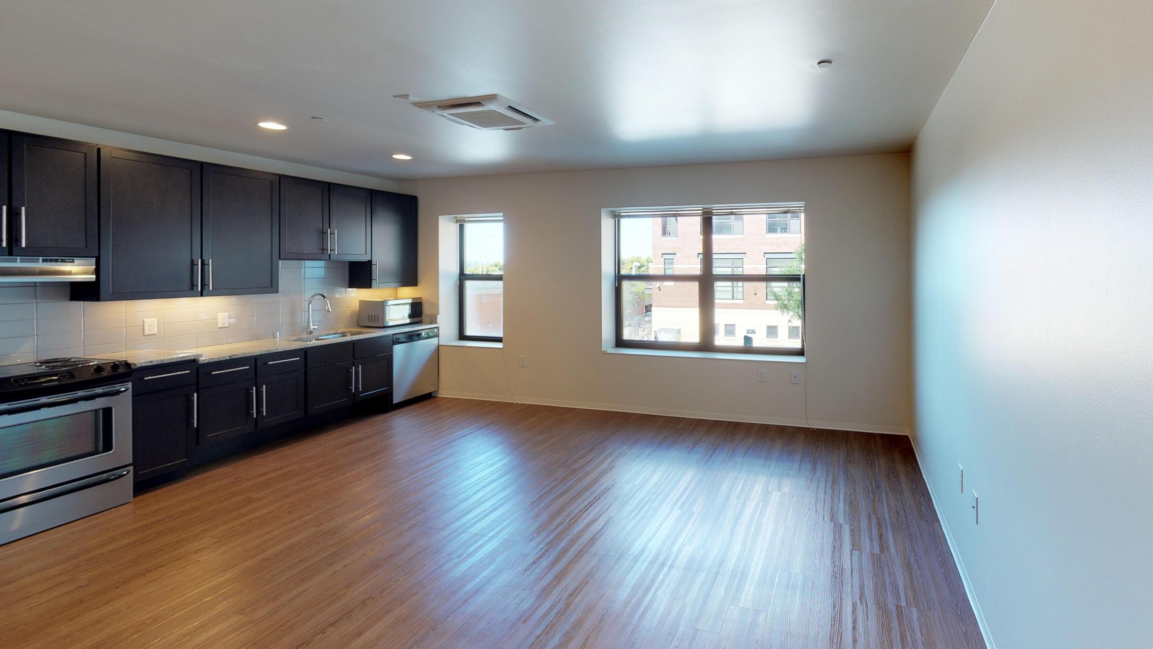 Capitol-Hill-Apartment-203-One-Bedroom-ADA-Corner-Downtown-Madison-Capitol-Square-Upscale-Luxury-Modern-Lifestyle-Views-Lake-Cats-Living-Bathroom-Kithcen-Laundry