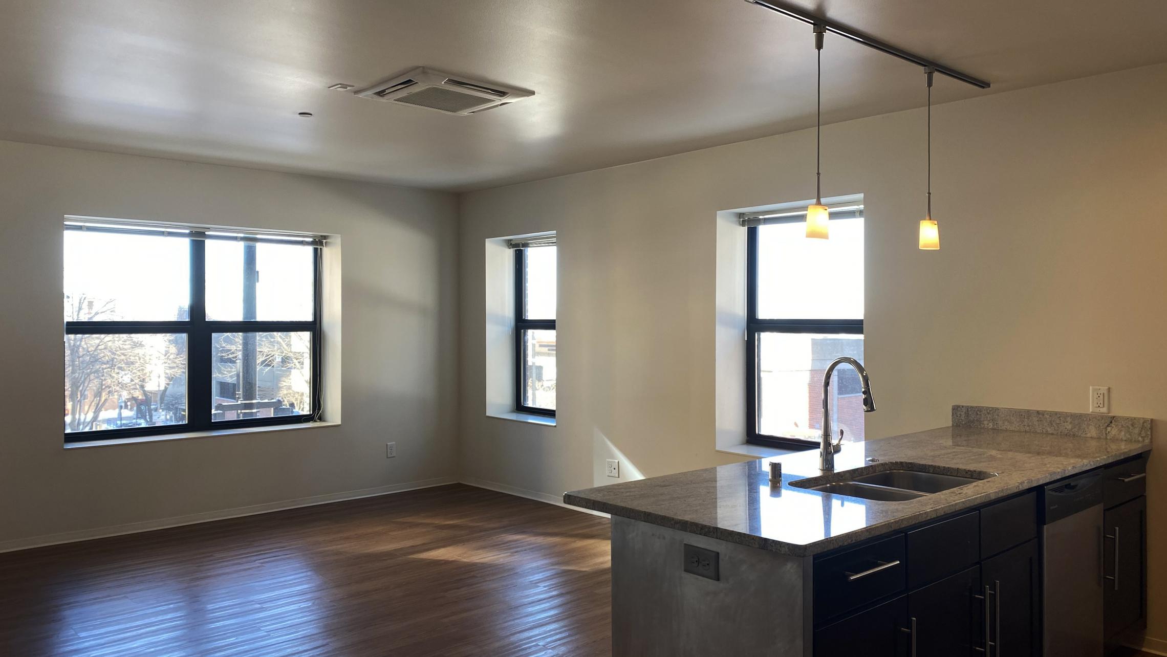 Capitol-Hill-Apartment-201-One-Bedroom-Corner-Downtown-Madison-Capitol-Square-Upscale-Luxury-Modern-Lifestyle-Views-Lake-Cats-Living-Bathroom-Kithcen-Laundry
