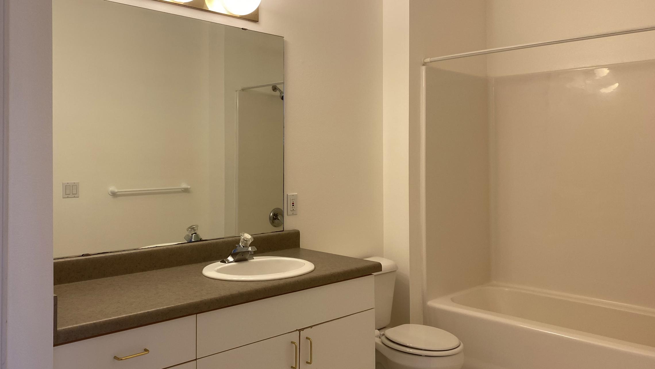 City-Place-Apartment-305-One-Bedroom-Bathroom-Kitchen-Living-Balcony-Downtown-Madison-Bike-City-Capitol-Lifestyle-Home-Laundry-Storage-Closet-Bathtub