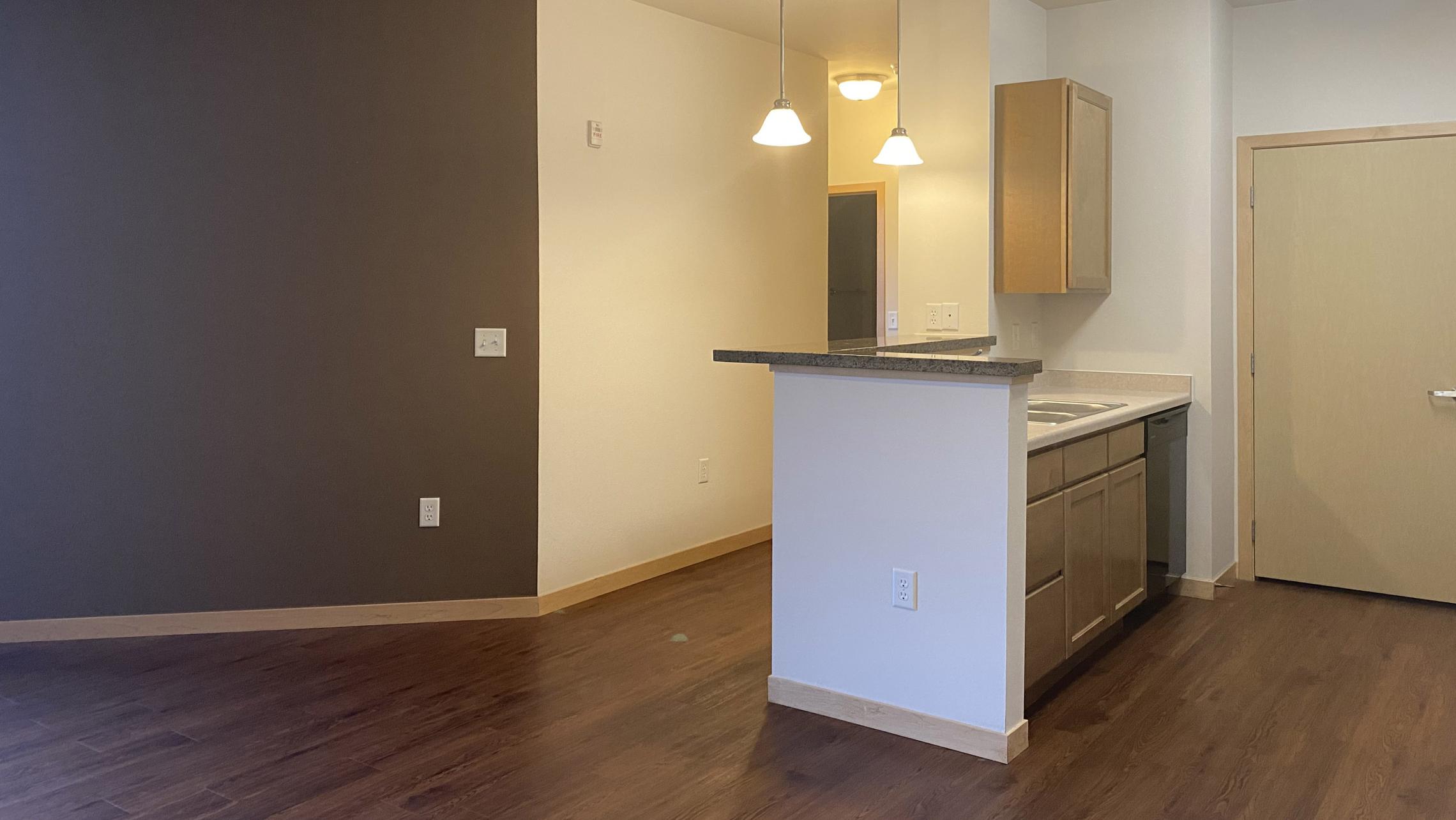 The-Depot-Apartment-1-210-Two-Bedroom-Kitchen-Living-Bathroom-Bathtub-Rooftop-Terrace-Fitness-Downtown-Madison-Capitol-Bike-Trails-Cats-Lifestyle-City-Lake