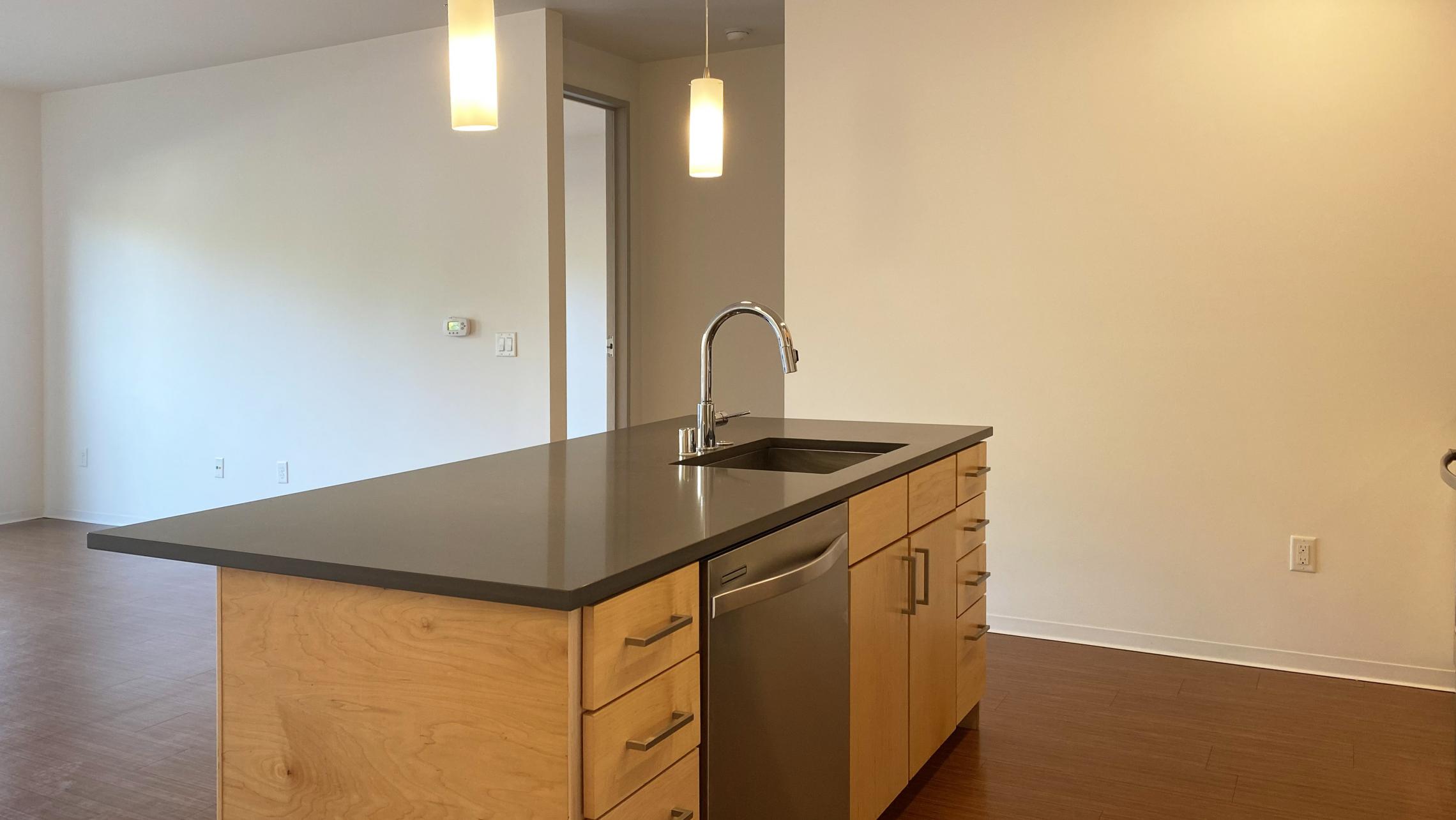 SEVEN27-at-The-Yards-Apartment-116-One-Bedroom-Modern-Upscale-Luxury-Design-Radiant-Heating-Fitness-Lounge-Fireplace-Courtyard-Downtown-Madison-Cats-Dogs-Lifestyle-Natural-Light