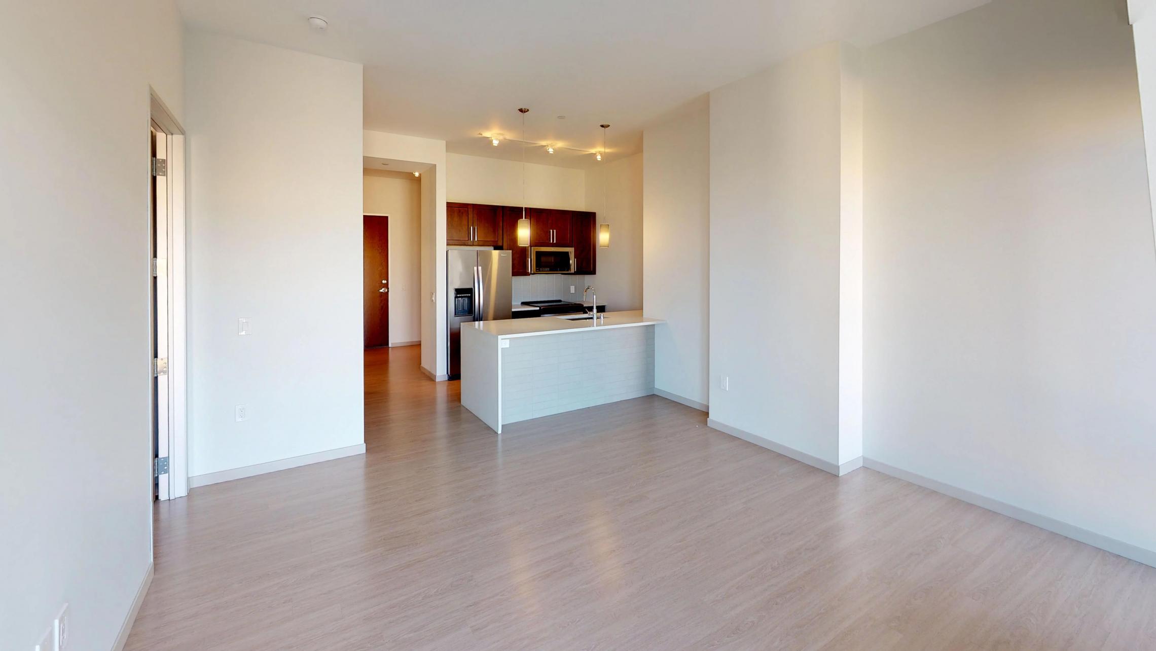 The-Pressman-905-Apartments-One-Bedroom-View-Downtown-Madison-Capitol-Square-Modern-Upscale-Lifestyle-Design-Home