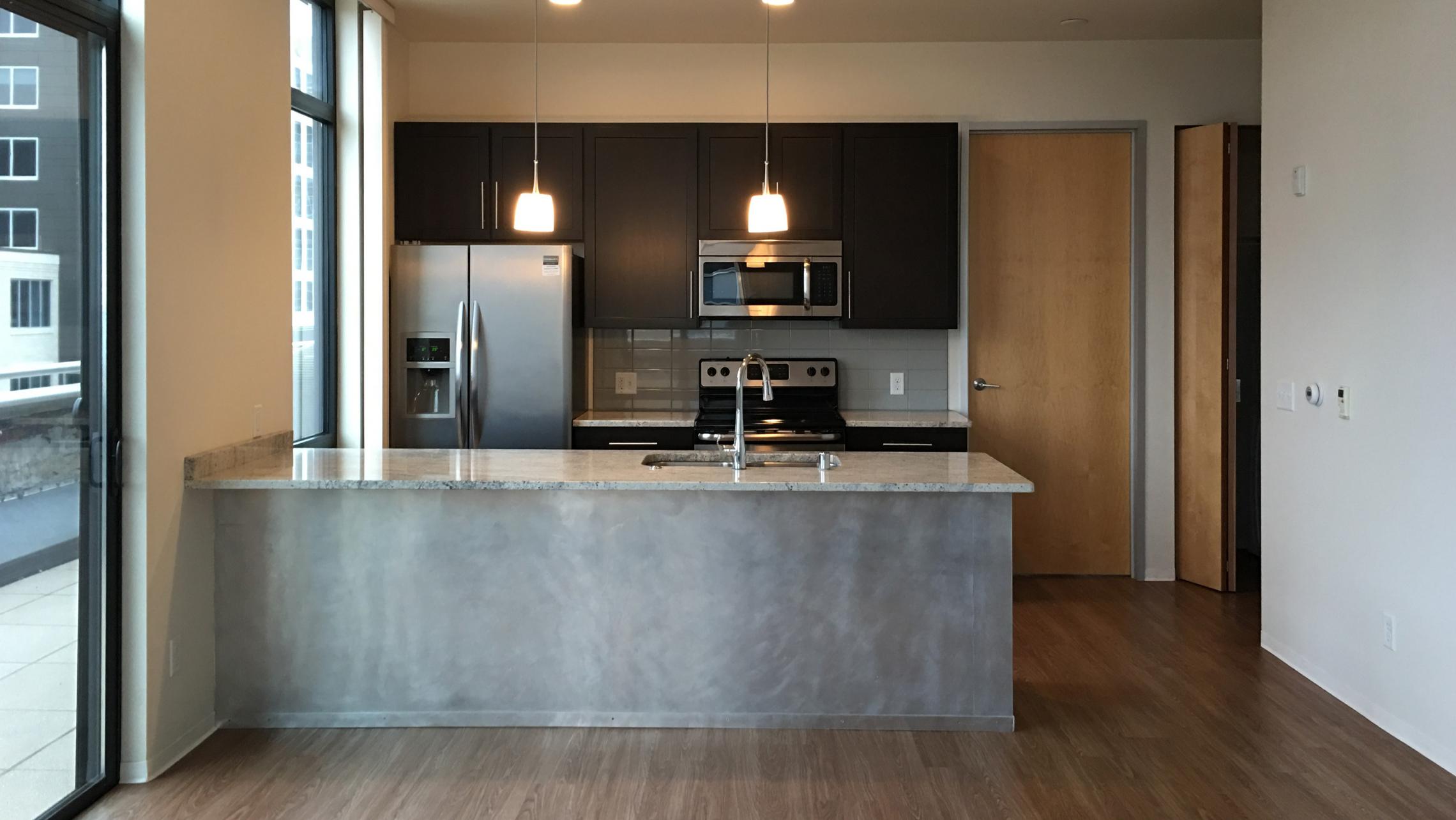 ULI Capitol Hill - Kitchen with High End Finishes