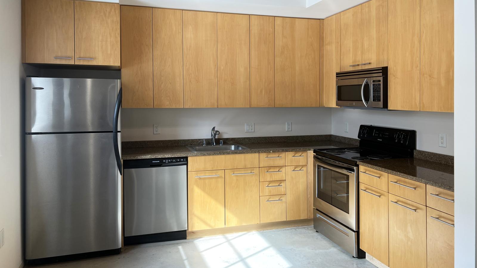 Contemporary one-bedroom with stainless steel appliances and granite countertops at Tobacco Lofts
