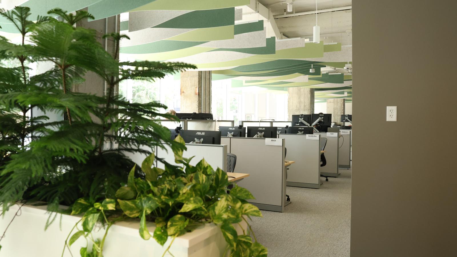 Nature Conservancy at 25 West main shows a bright modern space with flexible floor plan 
