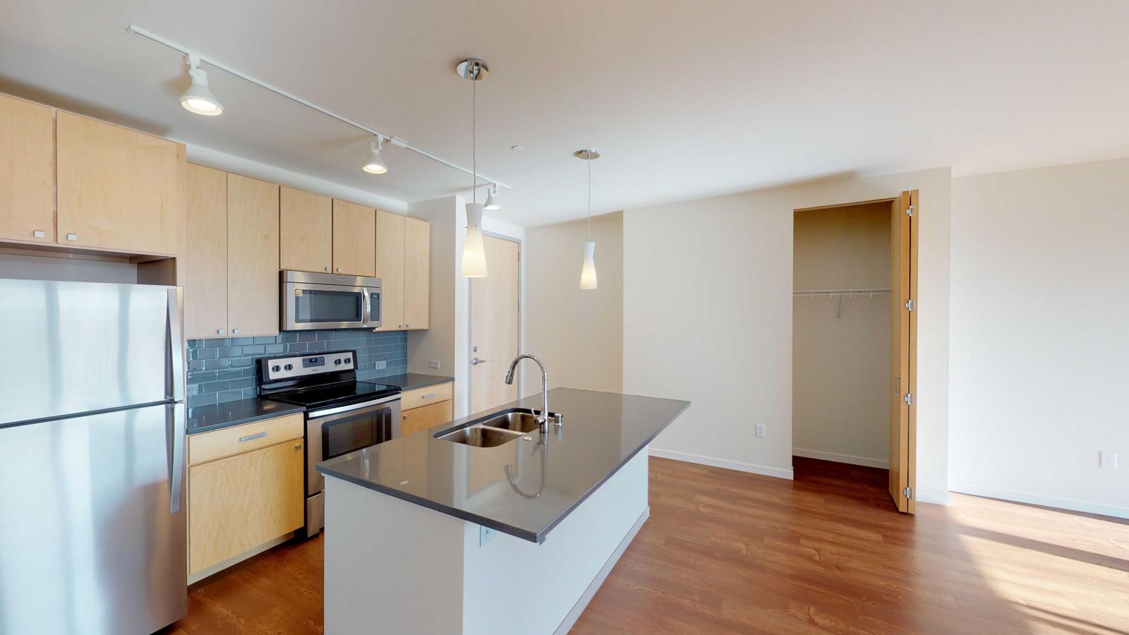 Kitchen with quartz countertops and soft close cabinets in a lake view one bedroom at Nine Line