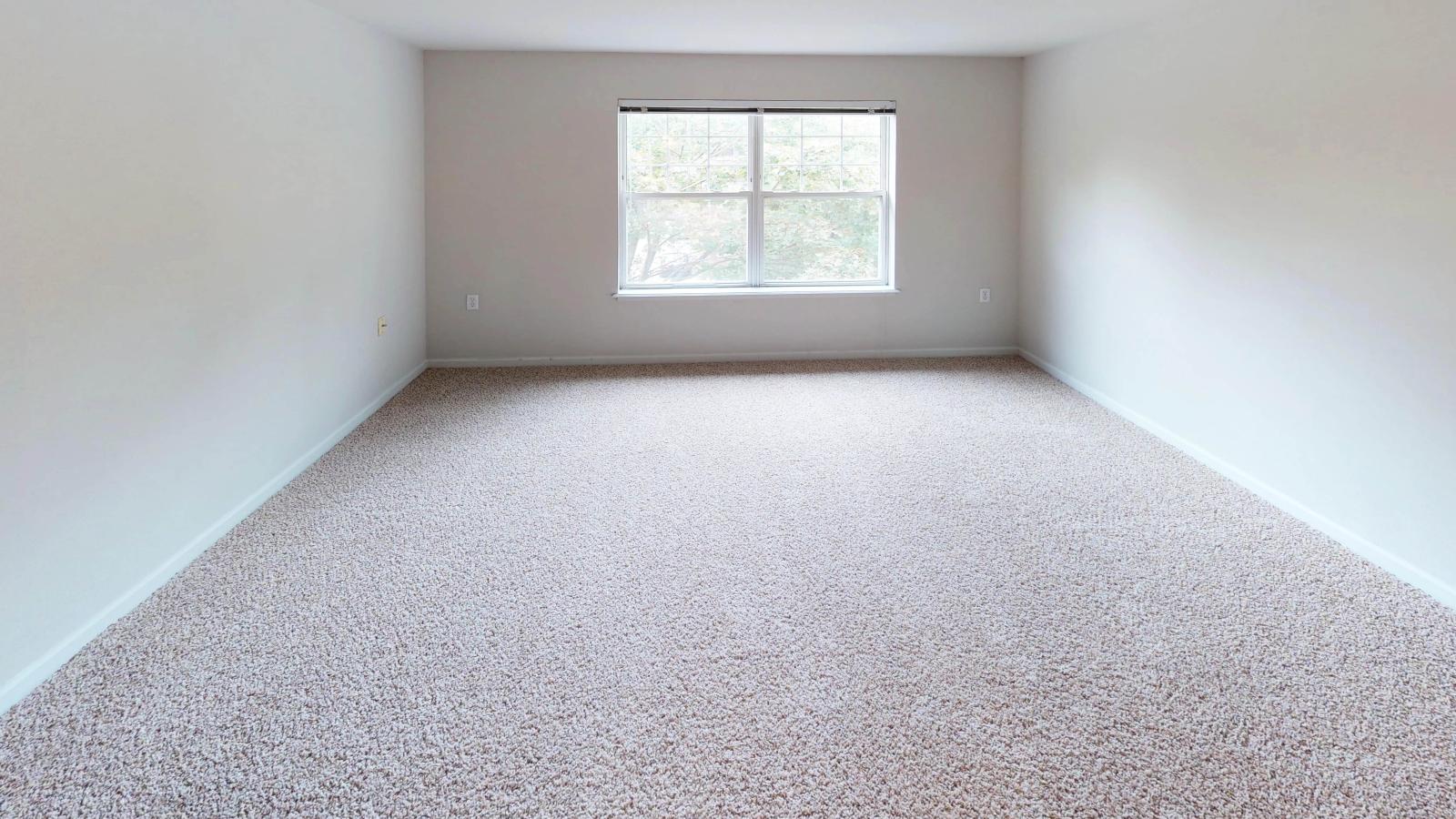 Large primary bedroom with a walk-in closet and bright windows at Wilson Bay