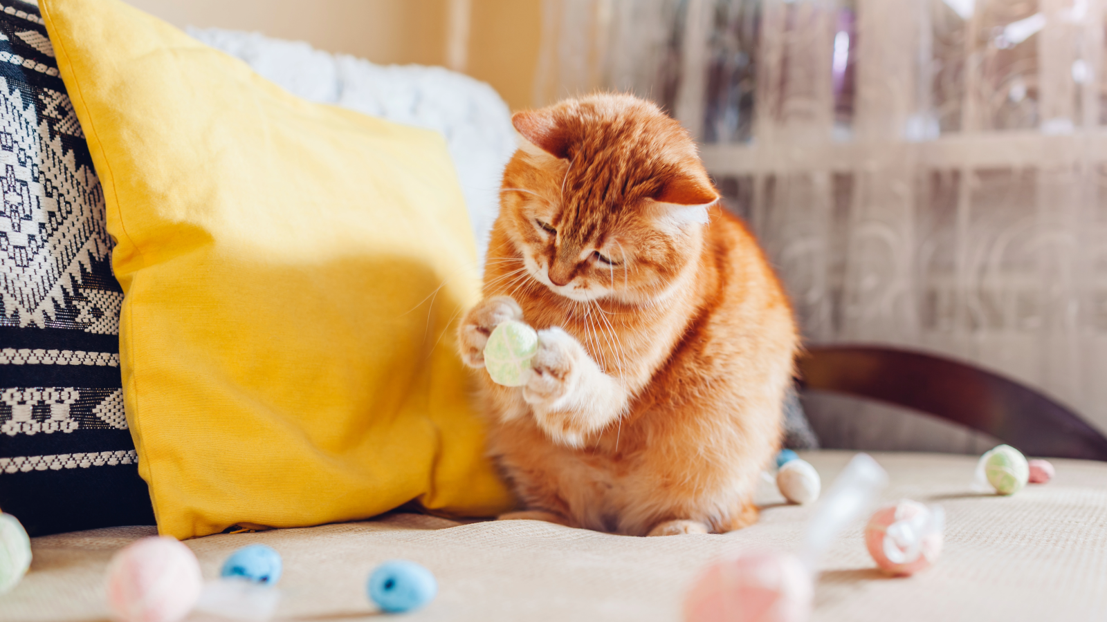 Resident Benefit Paw Pals Pet Services 