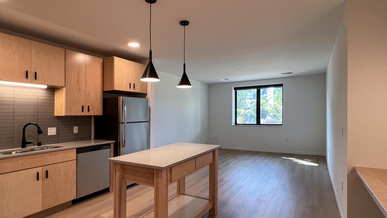 Open concept one bedroom apartment with spacious living area, oversized windows, modern kitchen island, stainless steel appliances, natural wood cabinetry, and luxury vinyl plank flooring in downtown Madison