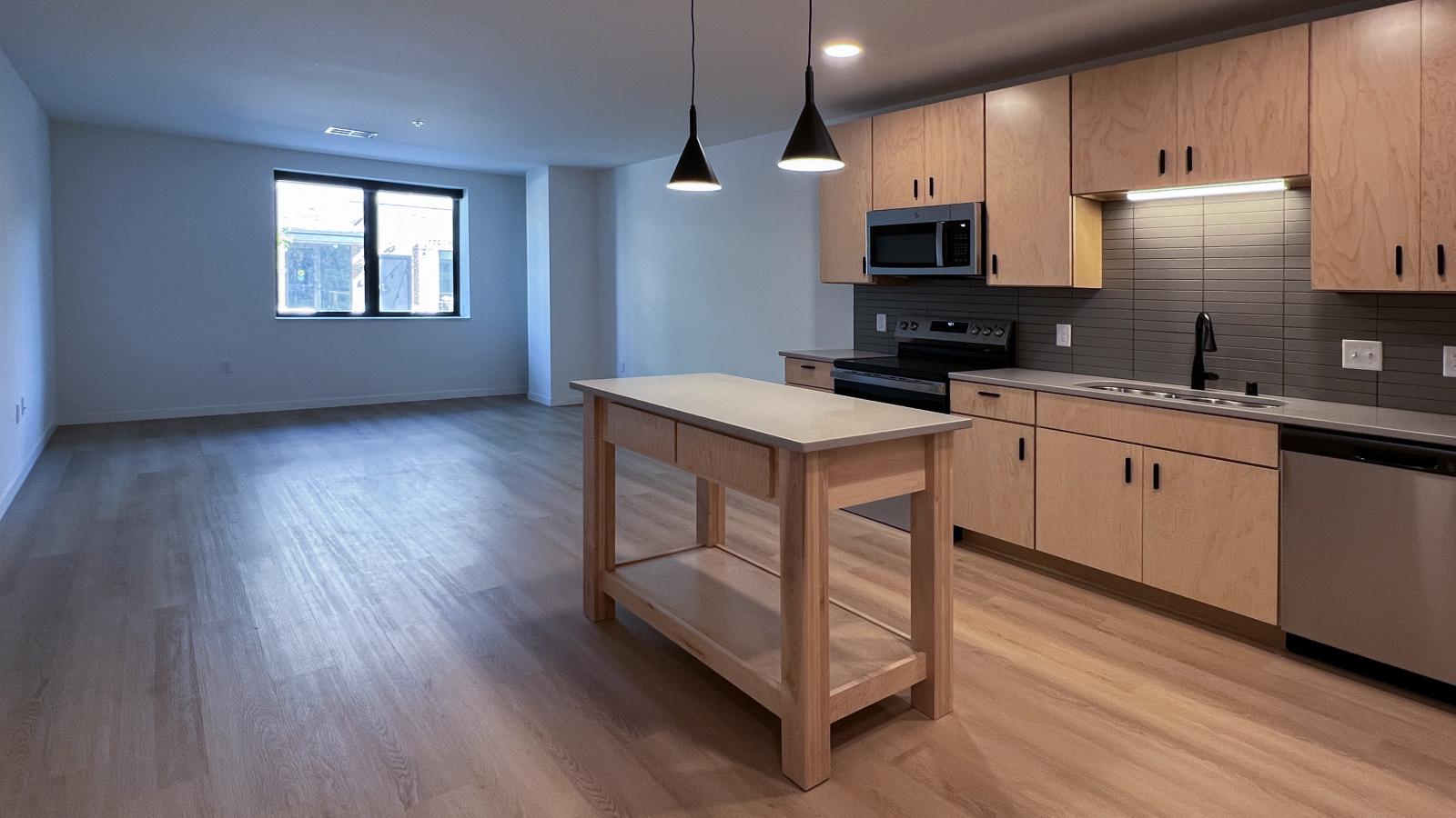 Open-concept kitchen and living area at The Irwin featuring contemporary cabinetry, oversized windows, modern pendant lighting, stainless steel appliances, spacious layout, and upscale finishes near downtown Madison.