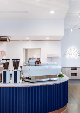 Wonderstate Coffee Downtown Madison 