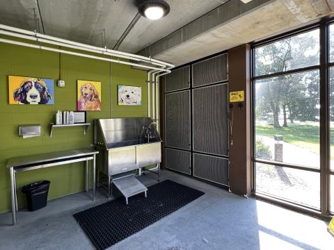 Pamper your pup at The SEVEN27 Apartments dog wash