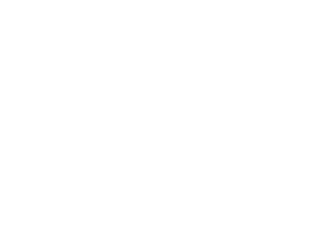The Penny Logo